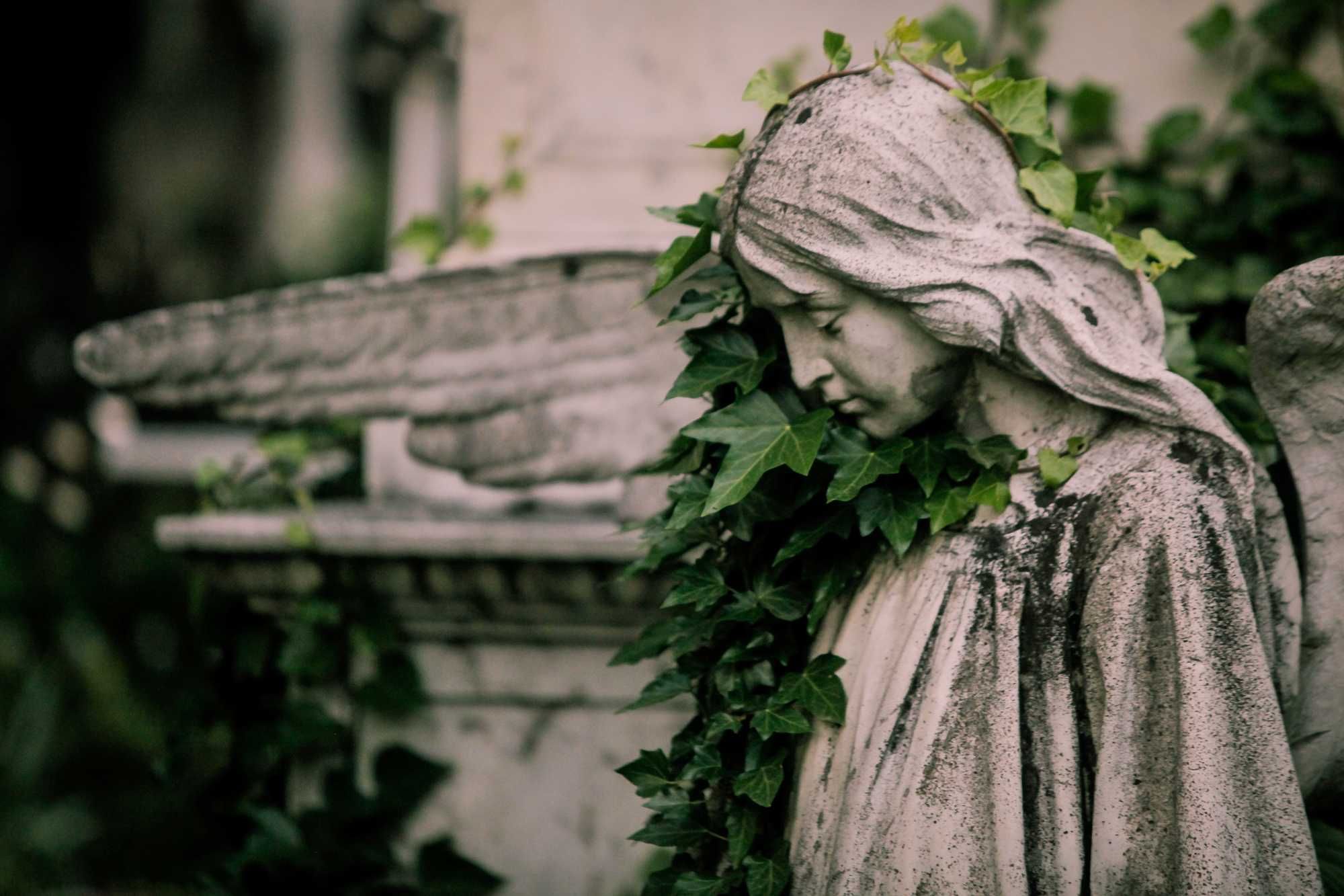 In The 1800s, Vampire Panic Was Real, And This Young Woman Was Accused Of Being One After People Dug Up Her Grave And Found Her Well-Preserved - Vimarsana News