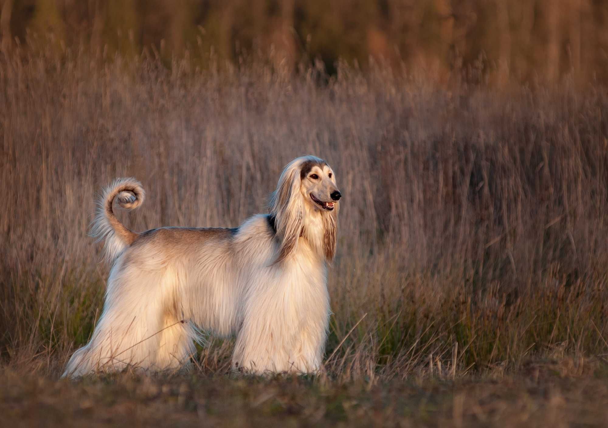 AdobeStock_309859191-scaled.jpeg