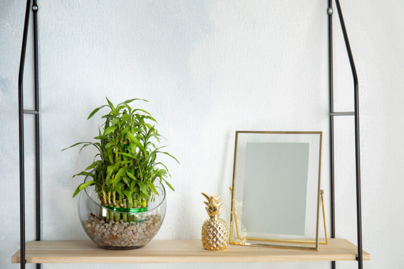 Estante con bambú de suerte verde en tazón de vidrio y decoración en la pared ligera