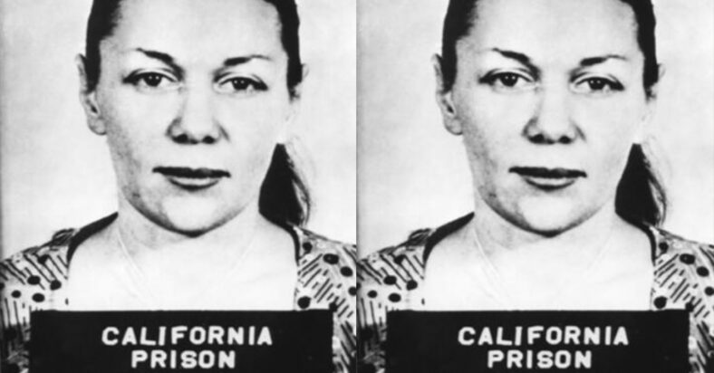 pictured above is Barbara in her mugshot