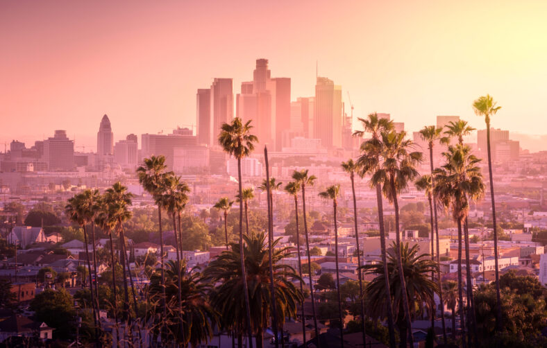 Beautiful sunset of Los Angeles downtown skyline and palm trees.