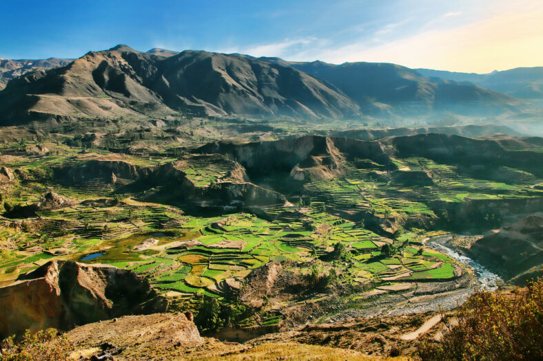 Stepped terraces in Colca Canyon in Peru. It is one of the deepest canyons in the world with a depth of 3,270 meters.