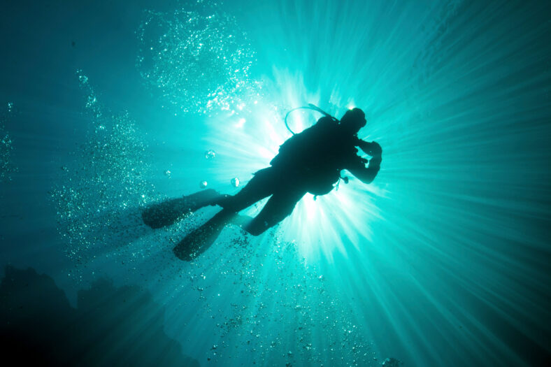 scuba diver in the water