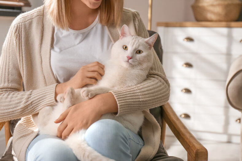 Young woman with her beautiful white cat at home, closeup. Fluffy pet