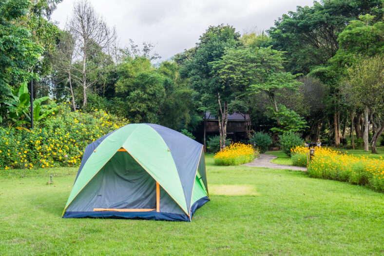 Tent camping relaxing on green lawn backyard
