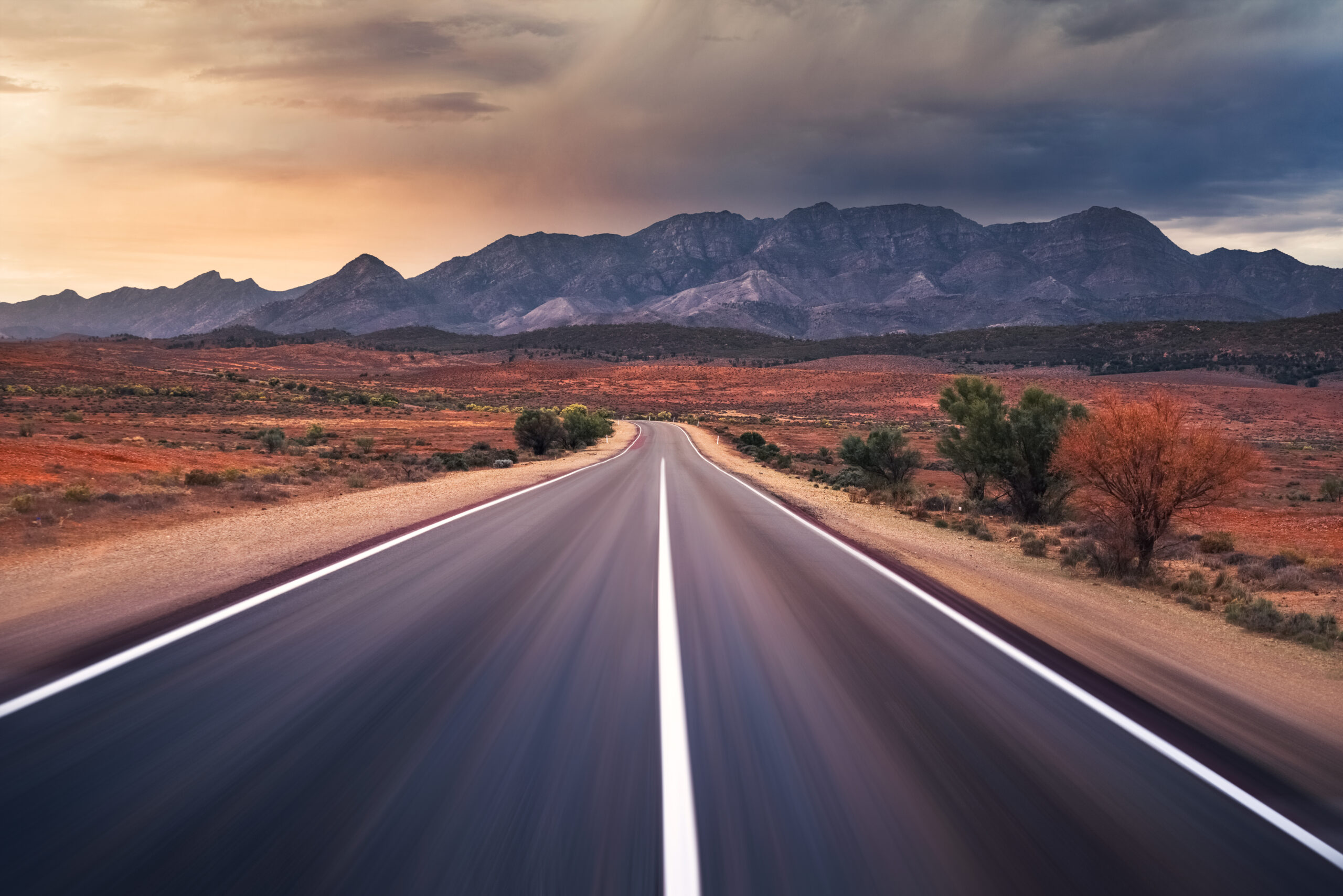 An Entire Family Vanished On A Road Trip, Then Turned Up A Week Later In Various States Of Mental Distress