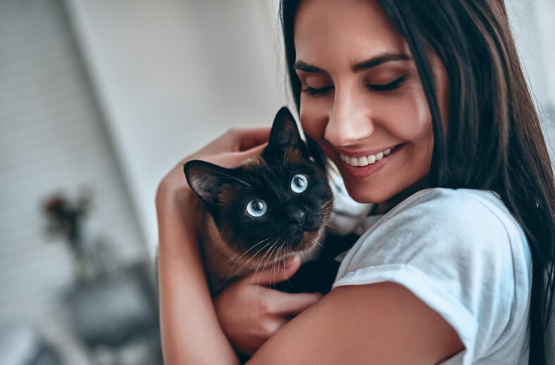 Attractive young woman at home with blue-eyed cat.