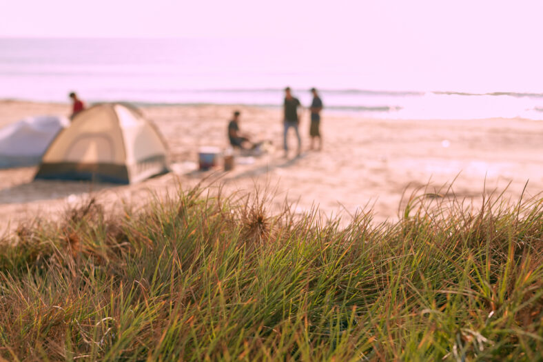 Defocus photo with view on the grass and background of camping and people at the beach near the sea