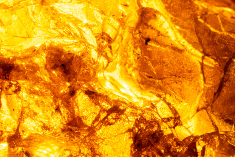 Background, texture bright orange stone amber, tin. Macro photo of the stone.