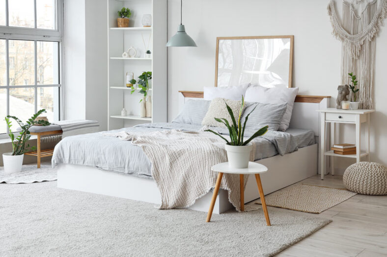 Interior of light bedroom with cozy bed, bedside table, houseplants and shelving unit