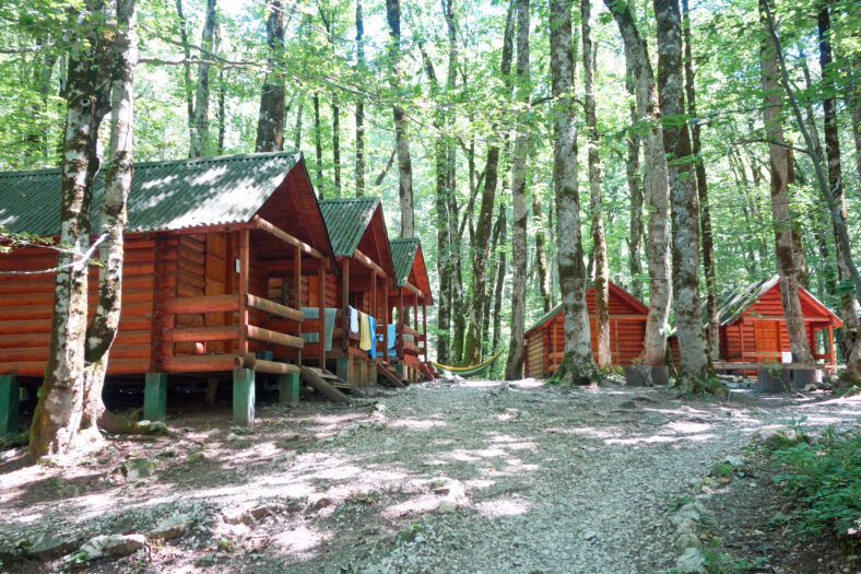 wild cabins in a forest