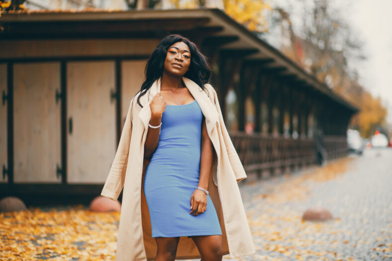 Elegant black woman standing in a autumn city. Businesswoman in a blue dress