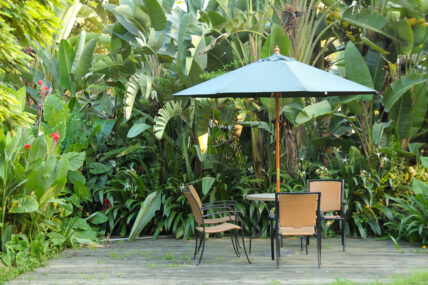 Garden furniture - rattan chairs and table