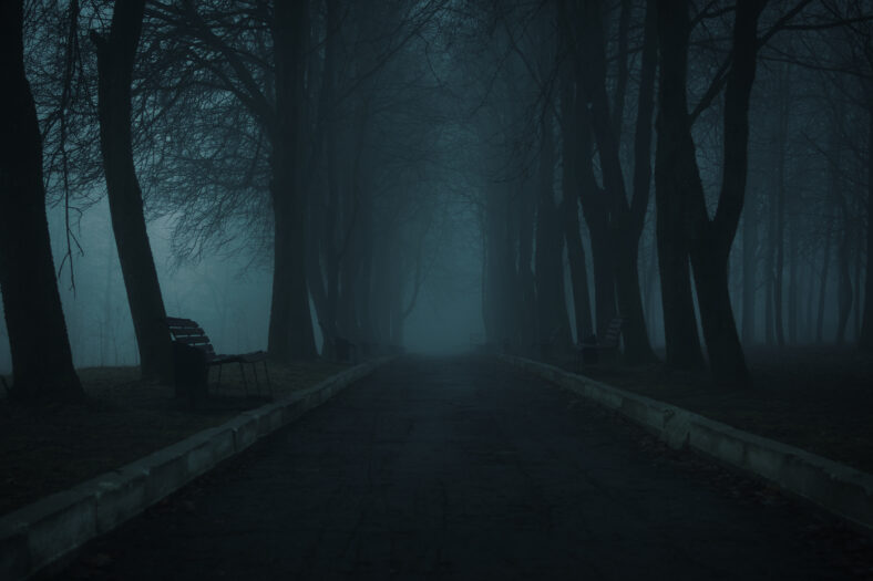 Foggy autumn landscape, pedestrian road in the park. Mystical early morning