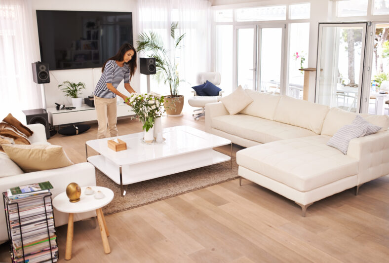 Interior design, creative and woman in living room of modern home for decor, feng shui or furnishing. Furniture, luxury and plant with professional designer in apartment for lounge arrangement.