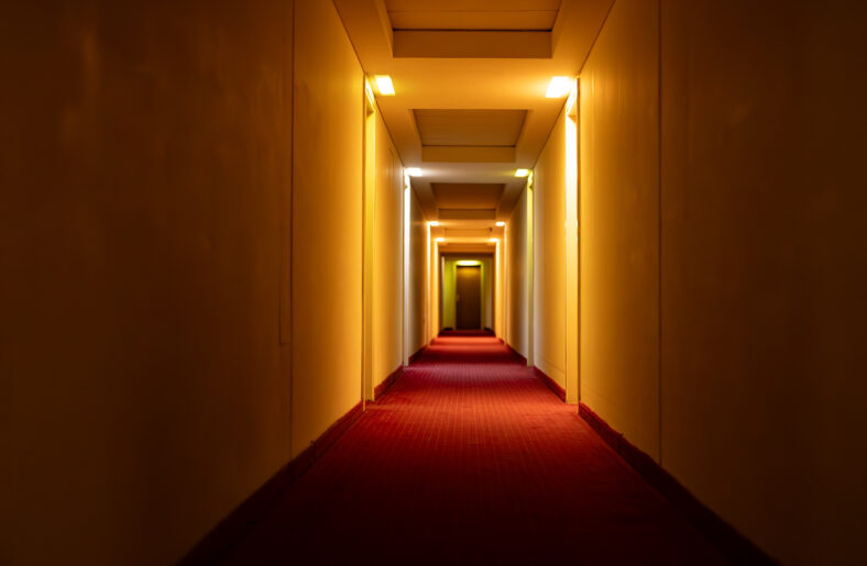 Long corridor with doors and lighting.