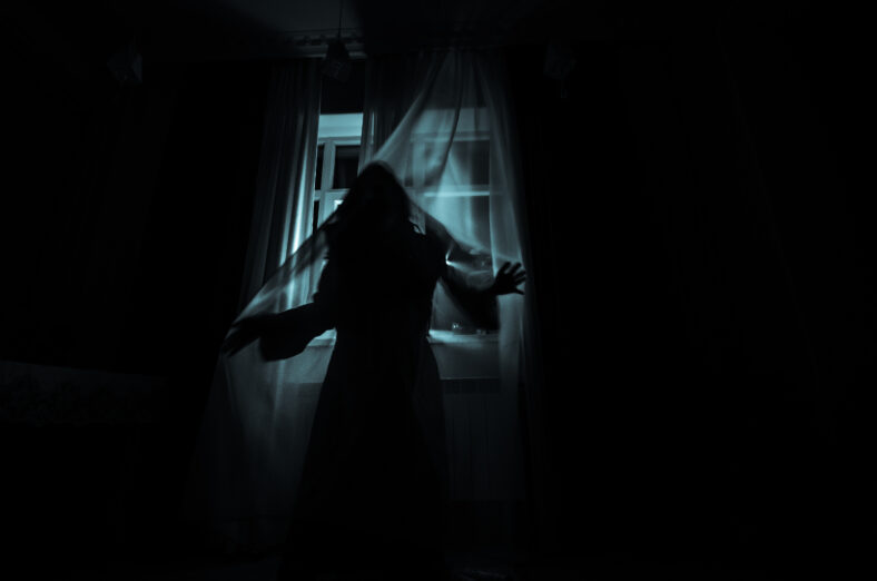 Horror woman in window