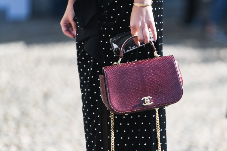 Street style – Fancy purse in detail during Milan Fashion Week - MFWFW19
