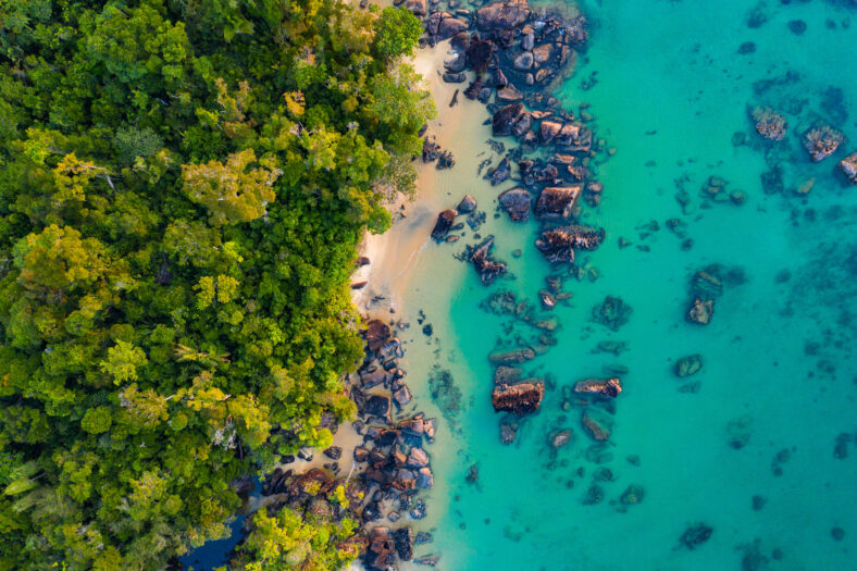 Donde la selva tropical se encuentra con el arrecife de coral en el remoto Parque Nacional Masoala en Madagascar
