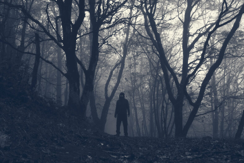 A hooded scary figure with glowing eyes. Standing in a spooky winter forest on a foggy day