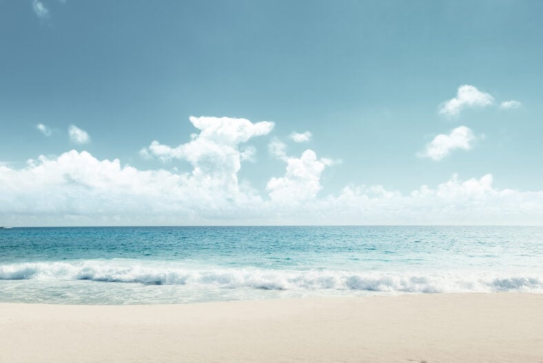 tropical beach