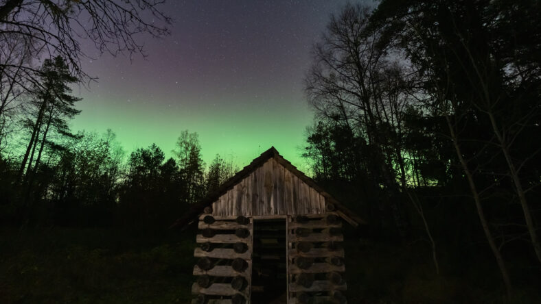 Magical Aurora Borealis (Northern Lights) glowing in the starry night sky above a rustic old log shed in a dark Estonian forest.