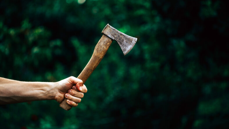 axe in the hand