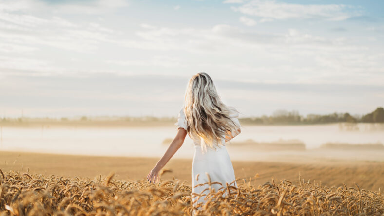 Portrait of a beautiful young blonde woman in a white dress running through the golden wheat field in the down with fog and blue sky. View from the back. Country, nature, summer holidays, agriculture.