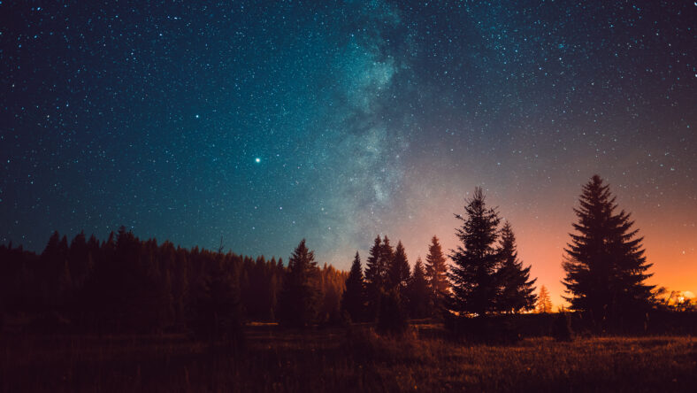 Night sky with the Milky Way over the forest
