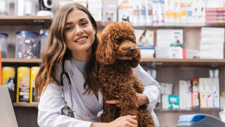 Smiling veterinarian looking at camera near poodle in pet shop