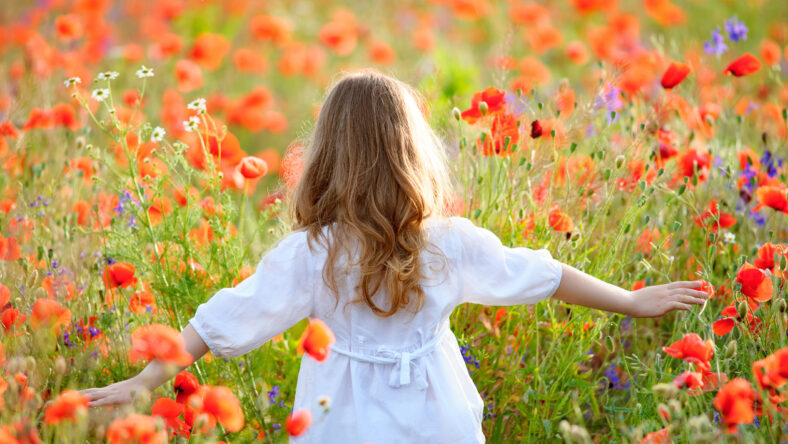 young girl wearing white dress in summer blooming field walking under evening sun. View from back