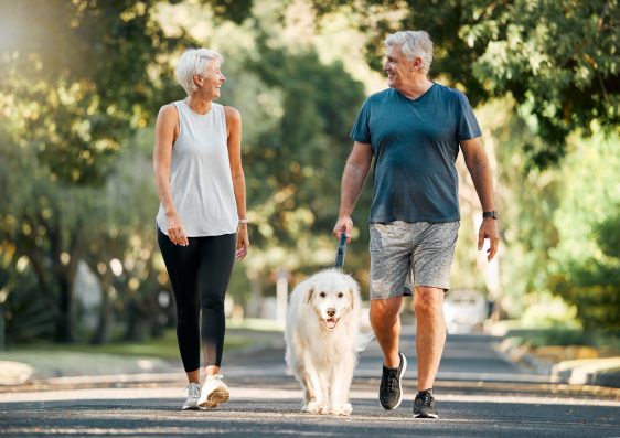 Retirement, fitness and walking with dog and couple in neighborhood park for relax, health and sports workout. Love, wellness and pet with old man and senior woman in outdoor morning walk together.