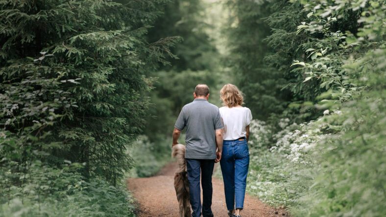 family walking in the forest with their dog, rear view