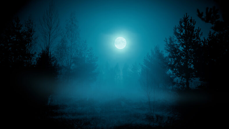 Spooky night foggy forest under the night sky with a full moon in cold blue tones. Halloween backdrop.