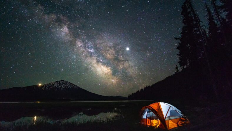 Camping in a Forest under the Night Sky.