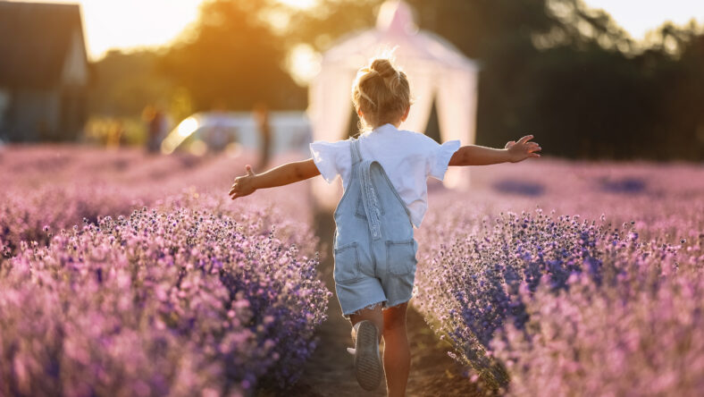 Back view of happy child girl runs raising her hands like flying plane in lavender field on summer warm day. Hyperactive little kid in sunglasses dreams of flying in nature. Children's fantasies