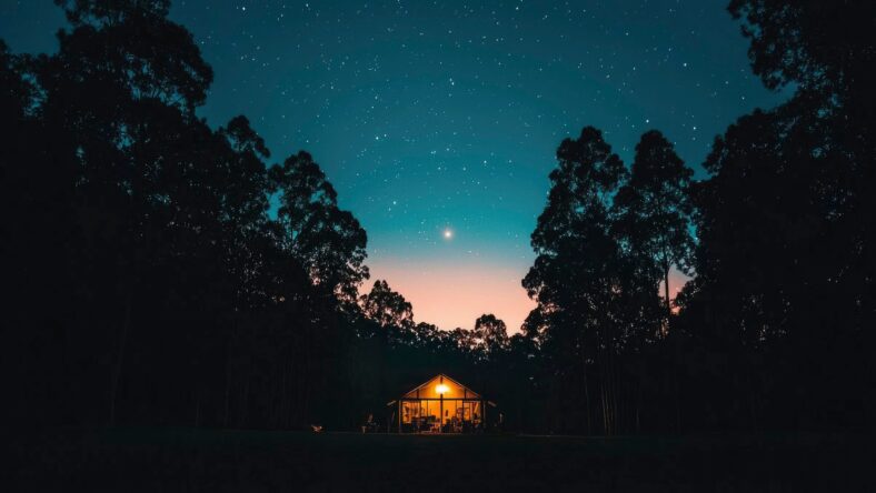 Cabin in woods under starry night sky at twilight