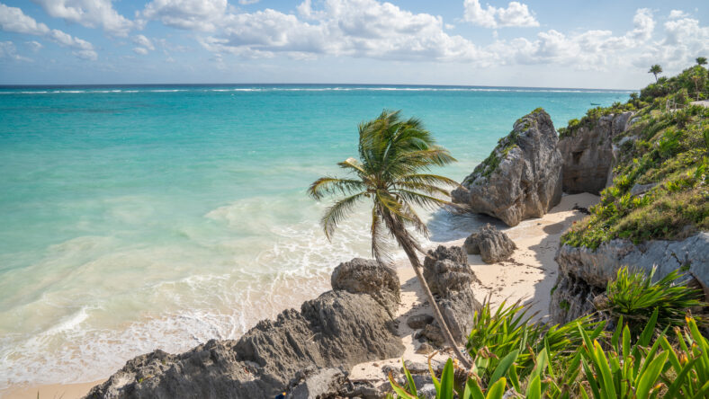 Turquoise Caribbean waters and tropical plants overlooking sandy beach in Tulum, Mexico.