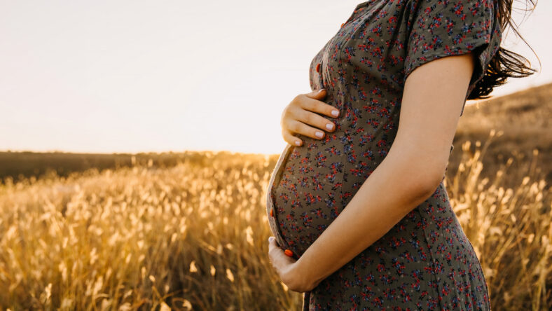 Closeup of a pregnant woman in a field with dry grass, holding hands on her belly.