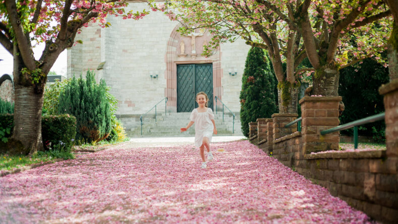 Happy pretty girl 6 years old in a white dress in a straw hat near blooming pink sakura. The child is walking in the park.