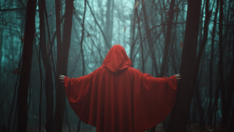 Misty forest and red hooded person