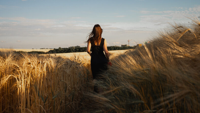 Back view of a young woman in a black dress walking through a golden barley field at sunset. Serene nature lifestyle, freedom, and peaceful countryside mood