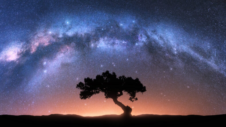 Alone tree and Milky Way arch at
