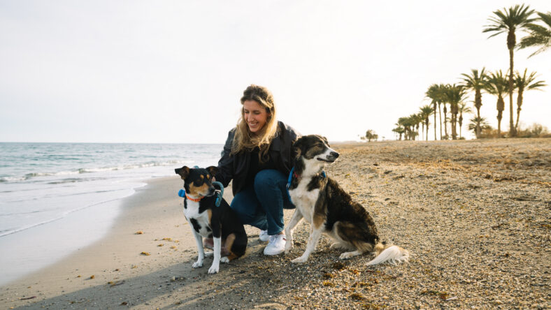 Happy woman crouching on the beach with her two dogs, enjoying a peaceful walk by the sea at sunset