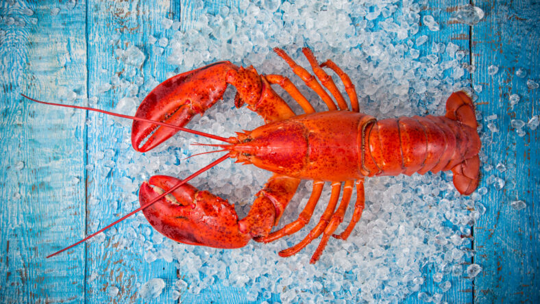 Fresh tasty seafood served on old wooden table. Top view. Close-up.