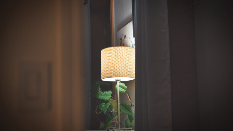 Living room interior with lamp on and plant. Looking through the open door and dark curtains