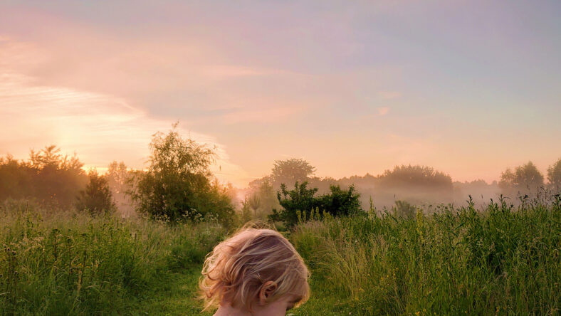 Foggy summer morning field. Beautiful sunrise on a meadow in Vladimir Oblast, Russia. Ecotourism and wild nature. Travelling with kids, toddlers.