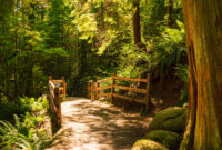 Colourful tree trunk and boulders mark entrance