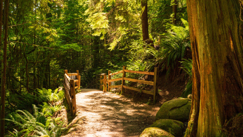 Colourful tree trunk and boulders mark entrance