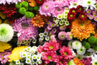 colorful flowers